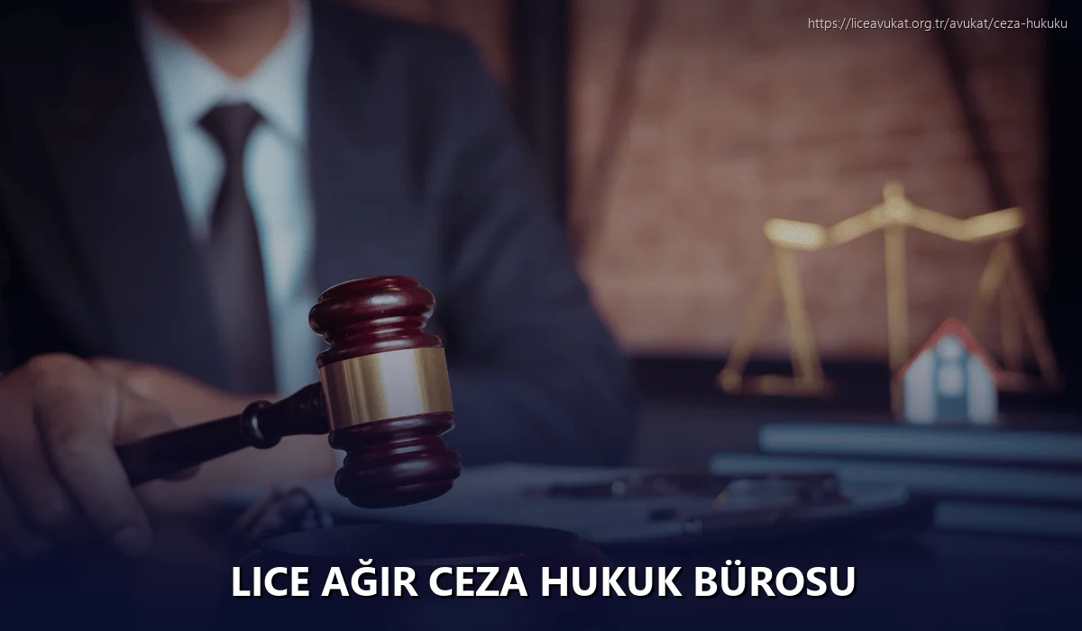 Lice Ağır Ceza Hukuk Bürosu