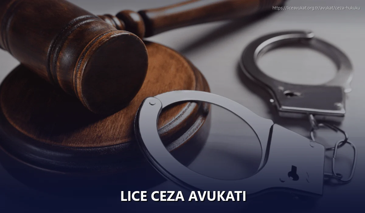 Lice Ceza Avukatı