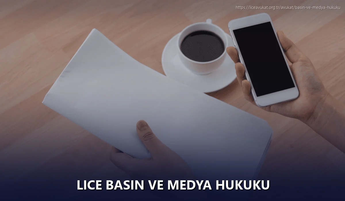 Lice Basın ve Medya Hukuku