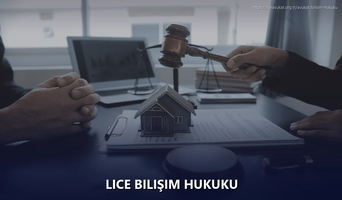 Lice Bilişim Hukuku