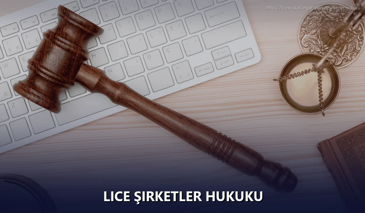 Lice Şirketler Hukuku
